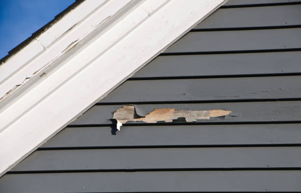 Best Shed Removal  in De Graff, OH